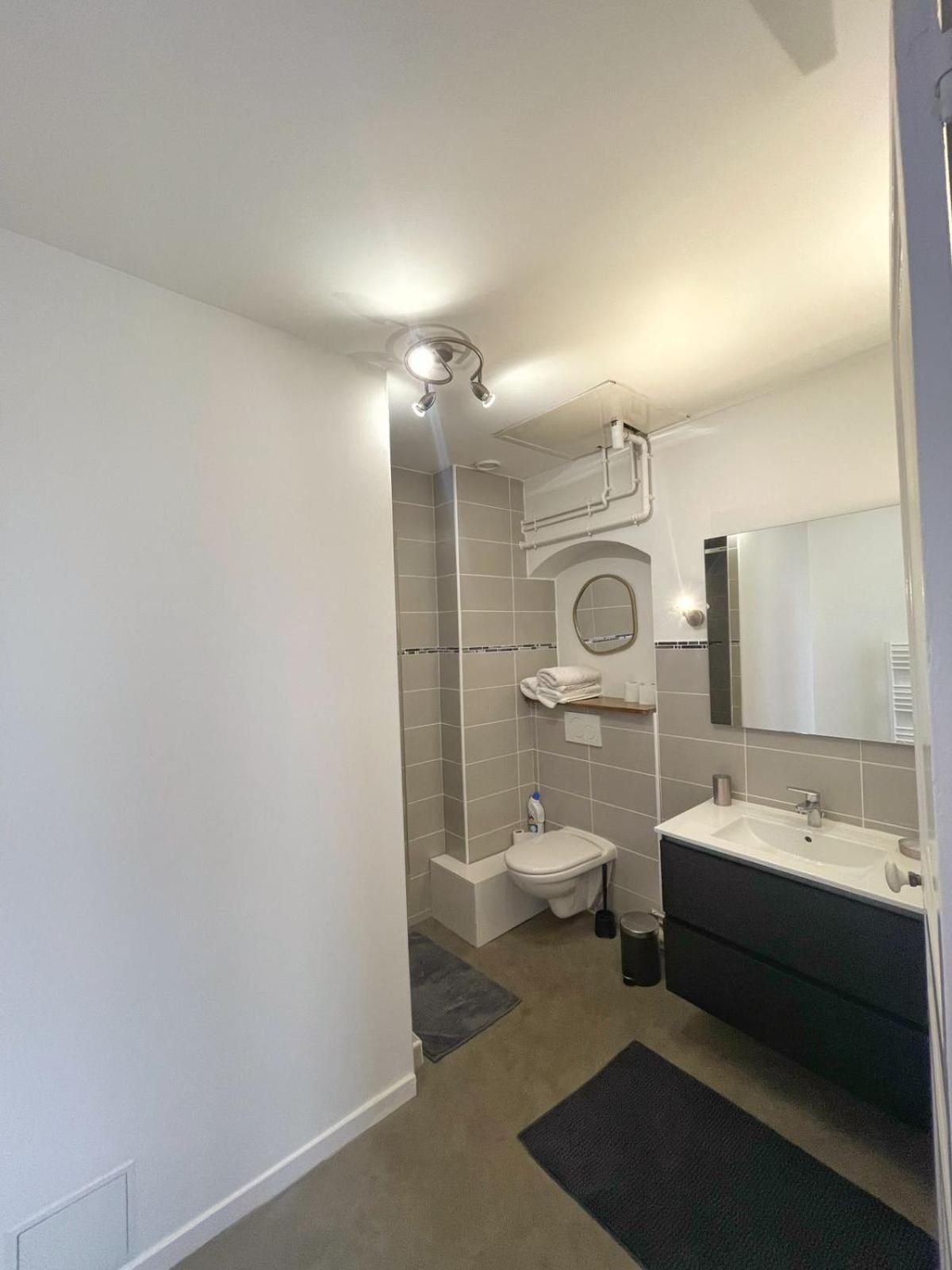 Center Macon Charmant Appartement Avec Vue Sur La Saone Dış mekan fotoğraf