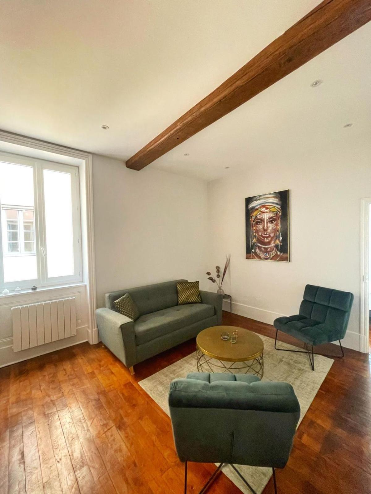 Center Macon Charmant Appartement Avec Vue Sur La Saone Dış mekan fotoğraf