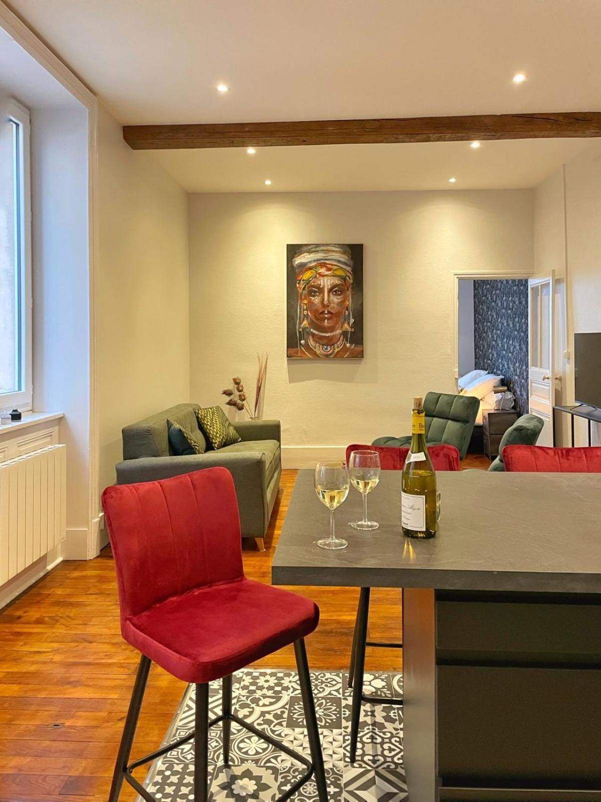 Center Macon Charmant Appartement Avec Vue Sur La Saone Dış mekan fotoğraf