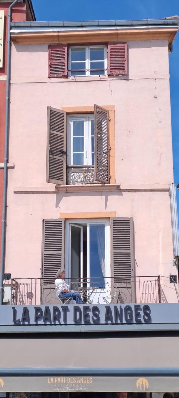 Center Macon Charmant Appartement Avec Vue Sur La Saone Dış mekan fotoğraf